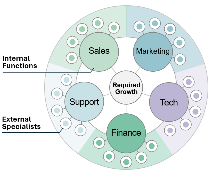 Required Growth at the center connects five internal functions: Sales, Marketing, Support, Tech and Finance. Each function connects to a separate group of external specialists.